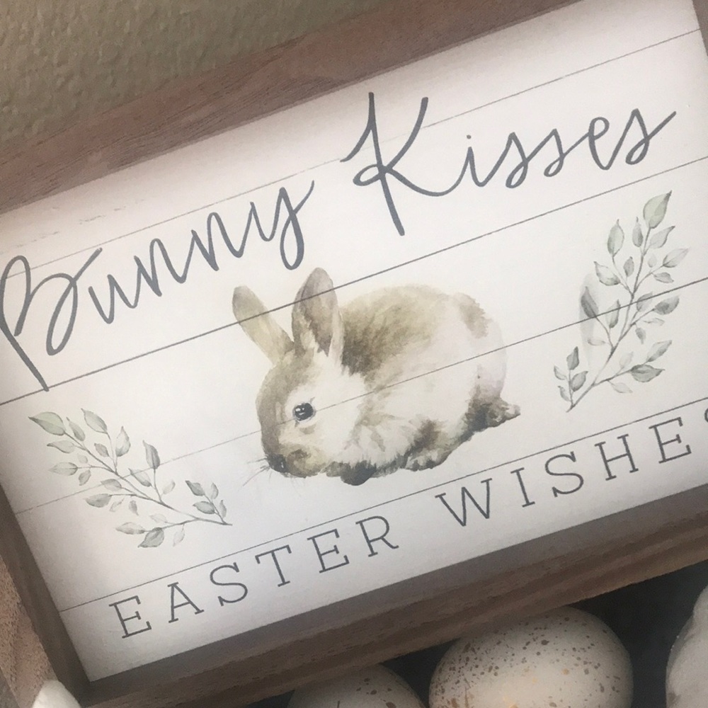 Easter Spring Farmhouse bunny rabbit shabby Chic bunny sign NWT